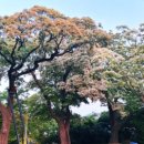 흥해읍 이팝 작은도서관 이미지