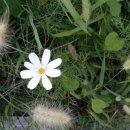 은혜행정사사무소 이미지