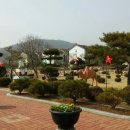 신기초등학교↔신기초등학교 이미지