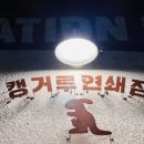 캥거루 연쇄점