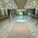 알리앙스 이미지