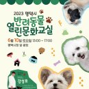 강성호 반려견 스쿨 이미지