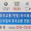 카티스트 이미지