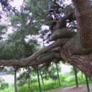 네오포엠