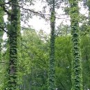 백두세상 이미지