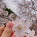네일좋은날 이미지