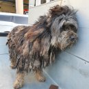 통리초등학교 이미지