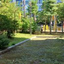 안청초등학교 이미지