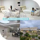 워시하이(Wash High) | 제주 한달살기 숙소 비용 리브애니웨어 제주도 아기랑 감성 숙소