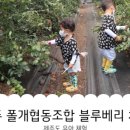 협동조합 블루 이미지