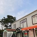 신평홍두