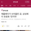 애플페이가 쏘아올린 공, 삼성페이 유료화 '만지작' 이미지