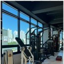 드래곤짐 이미지