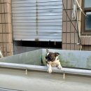 봉산어린이집 | [여수] 10시간 당일치기 여행 /꽃돌게장 1번가🦀/종포해양공원🌊/환기☕️/무슬소리🍨/무슬목해변🌊/바다김밥...