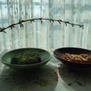 추운 날, 입춘이 코앞인데... 이미지