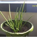 비엔비헬스클럽 이미지