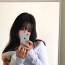 피터앤웬디