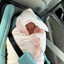 학의천 의왕~안양시계 | 안양/군포/의왕/과천 초산맘 디어맘 산후조리원 찐 후기