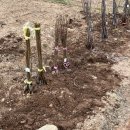 우리경봉환경 이미지