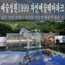 예술조형물(산골공원 | [예술정원1999 자연예술테마파크] 포천 아이랑 가볼만한 곳 주말 드라이브