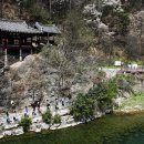 군산담다 이미지