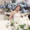 헤어바이서진 이미지