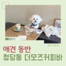 더모즈커피바