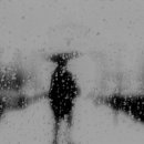 히파이브 이미지