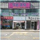손끝꽃 네이버블로그