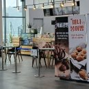 해남군-14 | 해남 관광 케이블카 발아래로 소용돌이치는 울돌목