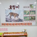 가나몬테소리 이미지