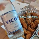 비쉬 | 촘촘한 기포로 목 안따가운 여름탄산수 드디어 찾았다? 프랑스 비쉬탄산수 마셔본 후기