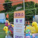 커피베이안성허리편한 | 안성 원더풀도그베이 또또방문후기 함께 입수가능한 강아지워터파크