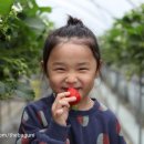 보미농장 이미지