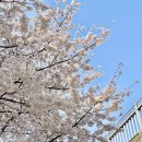 칠프로 칠백식당(방배직영점) | 이수역 근처 육사시미 맛집 추천 서울 서초 방배동 가성비 좋은 한우 칠프로칠백식당 방배직영점