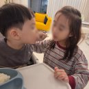 시립푸른숲 어린이집 네이버블로그