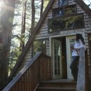 숲속원룸 이미지