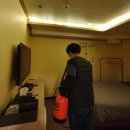 흥스테이 이미지