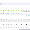 산행지 날씨, 아침에 비오다가 11시경 그침 이미지