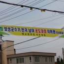 모녀청과 이미지