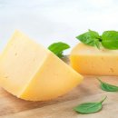 석등슬치로 이미지