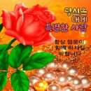 범벅 이미지