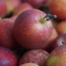 옥계초병설유치원 이미지