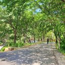 창녕 옥천사지 이미지