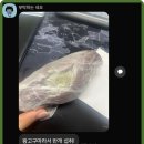 부송체육관 | 익산 부송동 어바웃피트니스의 프리미엄 경험과 서비스