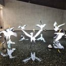 새소망푸드뱅크 | 가을밤을 수놓은 불빛의 향연✨ 진주남강유등축제 2025 관람기