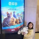 아이와 볼만한 영화 플로우