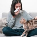 달봉이네 대연점 이미지