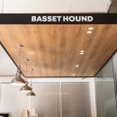 바셋하운드 | 진해 석동 바셋하운드 베이커리카페 감성카페 내돈내산 리얼후기