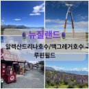 한일카렌드자동차 | 뉴질랜드/남섬/루핀필드/알렉산드리나호수/맥그레거호수(서이추환영)